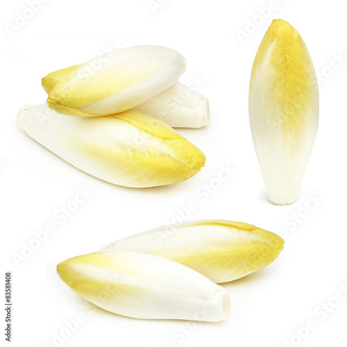 Photos Endive - Chicory - Chicon - Witloof