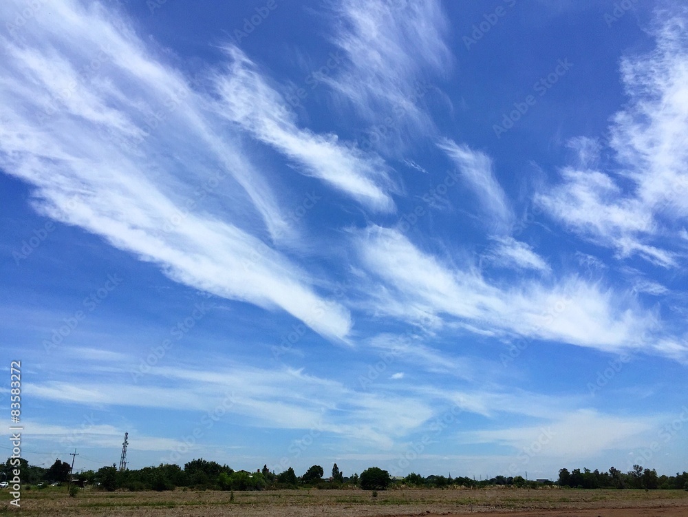 Obraz premium beautiful sky. 