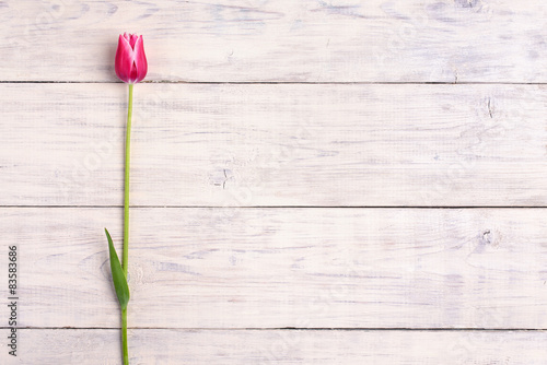 Fototapeta Naklejka Na Ścianę i Meble -  Pink tulip flower on wooden background. Top view, copy space.