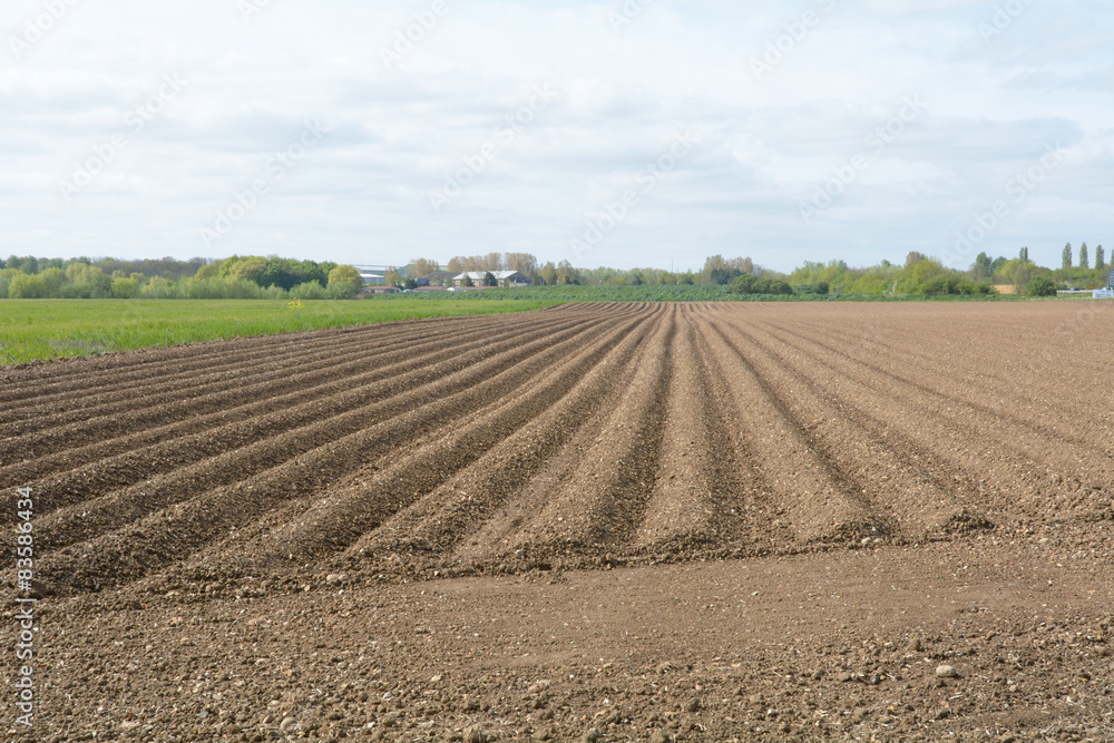 Ploughed field on farm