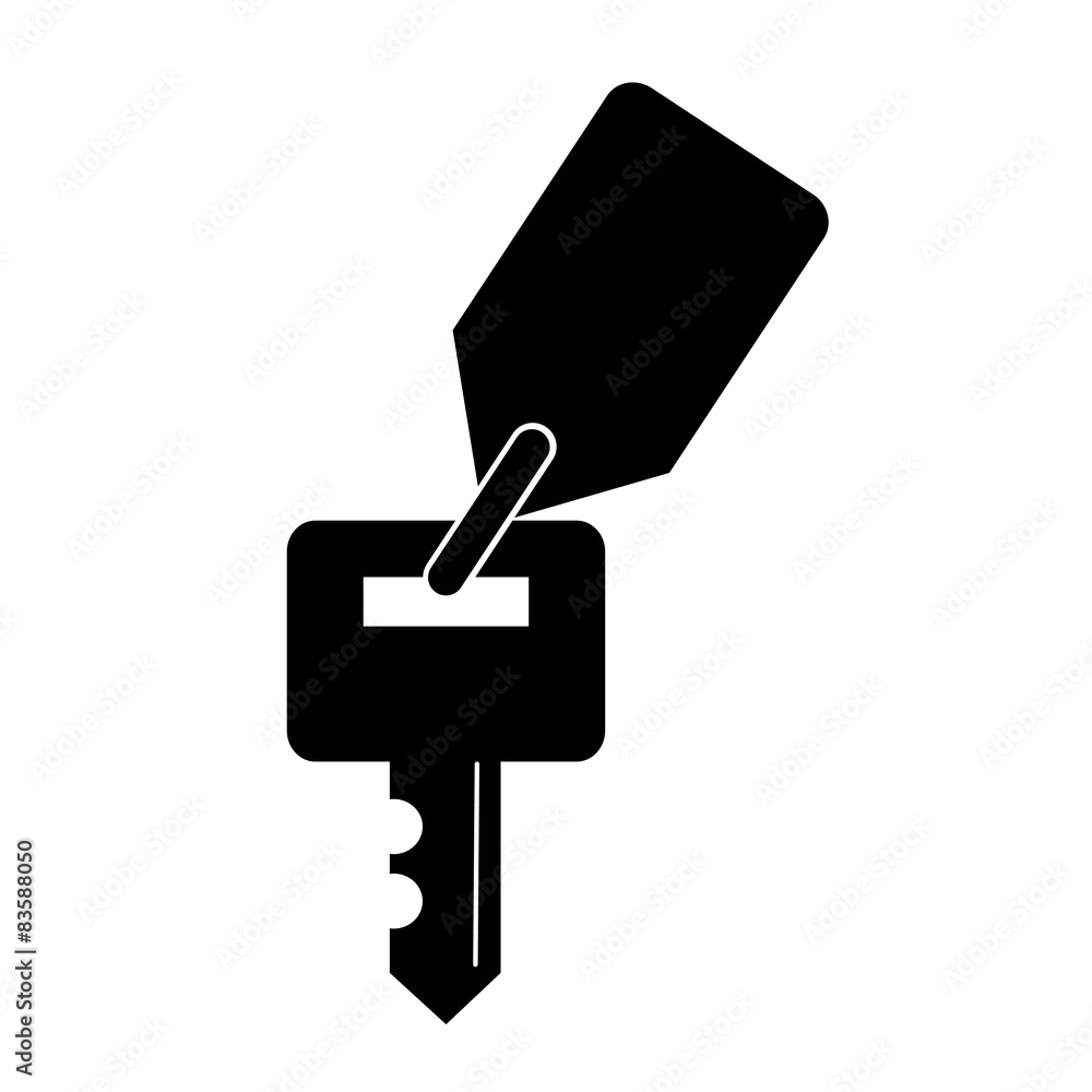 Key icon isolated on white background. Key icon isolated on white background.