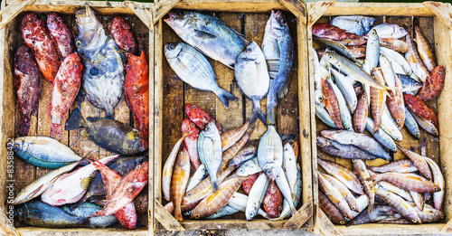 Fresh fish at a market in a Mediterranean port