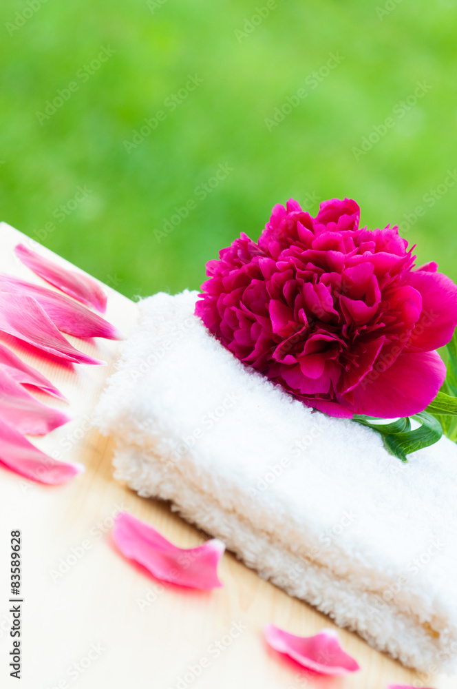 Flower petals spa relax Flower petals spa relax