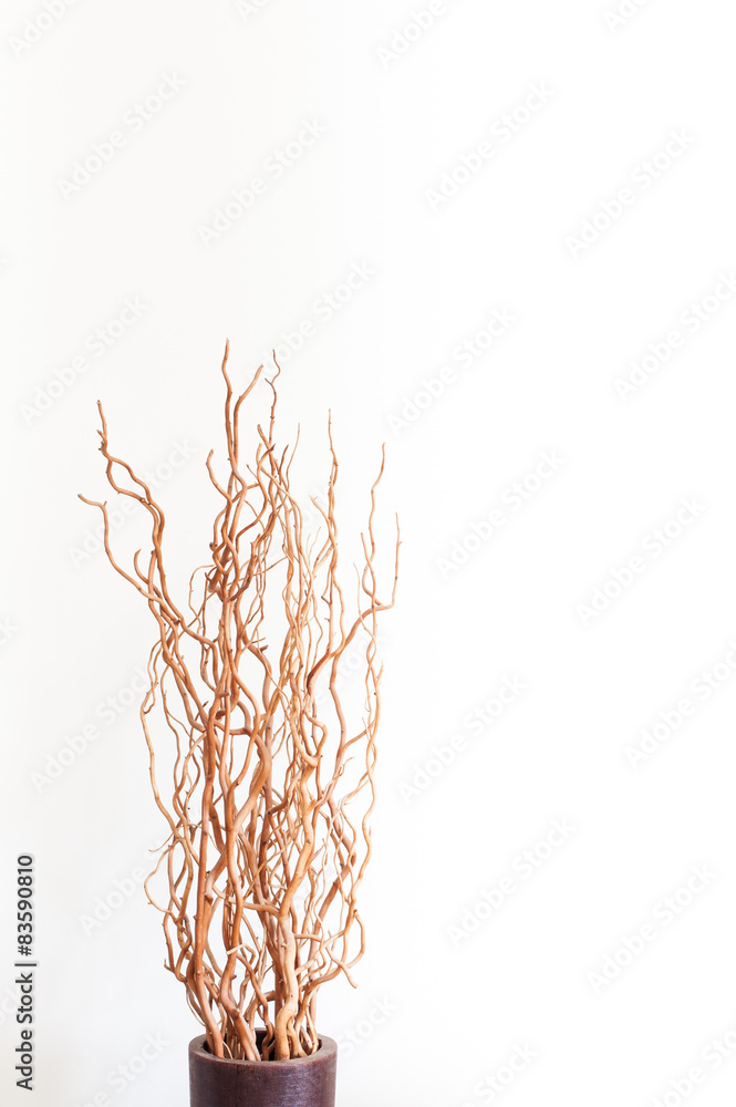 Obraz premium Vase with dry branches on white