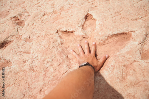 Fußabdruck Dinosaurier Utah USA photo