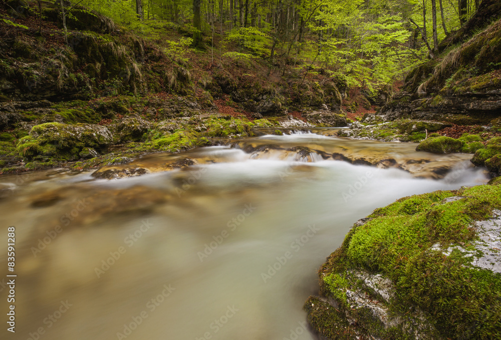 Fototapeta premium Arzino