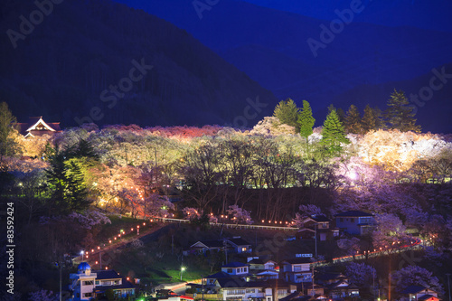 高遠城址公園の桜のライトアップ 長野県伊那市