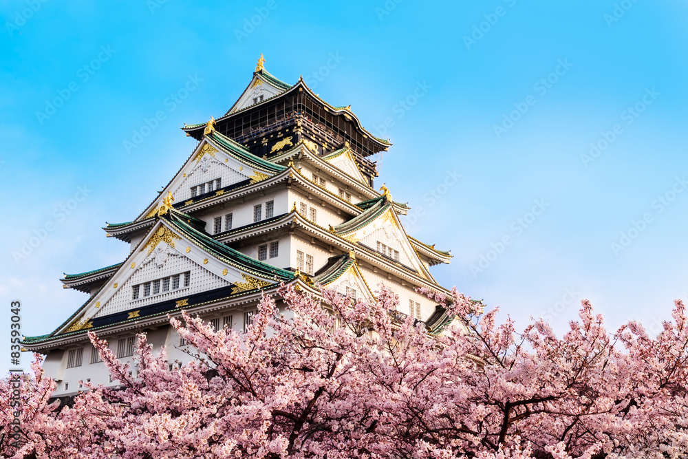 Naklejka premium Zamek Osaka z kwiatem wiśni. Japonia, kwiecień, wiosna.