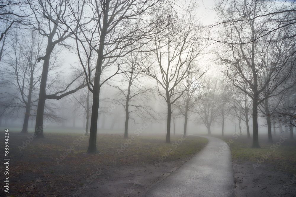 Obraz premium early misty morning
