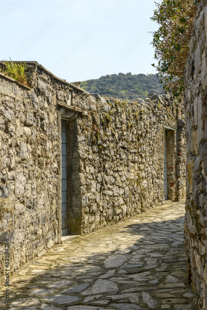 bending stone wall, Portovenere