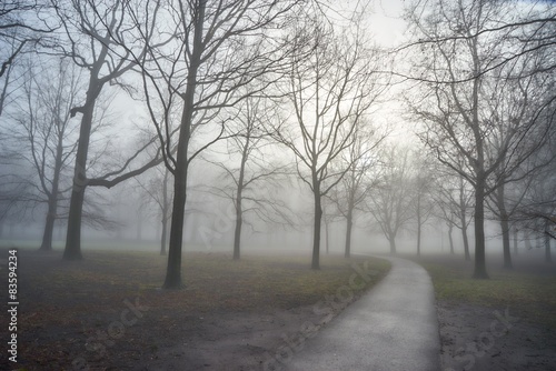 early misty morning © the_lightwriter