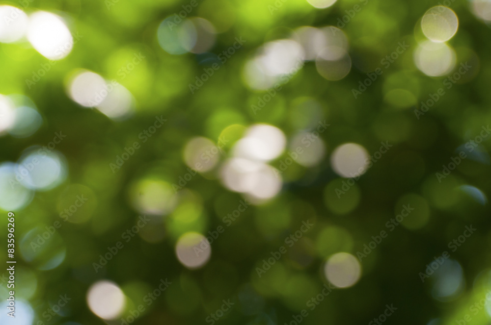 Fototapeta premium Tło zielony bokeh