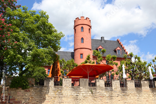 Eltville, die Burg Crass, dem Rhein zugewandte seite (Mai 2015)