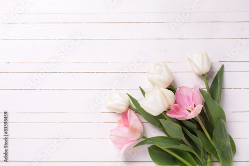 Fototapeta Naklejka Na Ścianę i Meble -  Background with fresh pink and white  tulip flowers