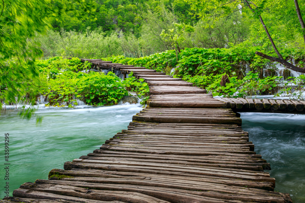 Fototapeta premium Boardwalk in the park Plitvice lakes