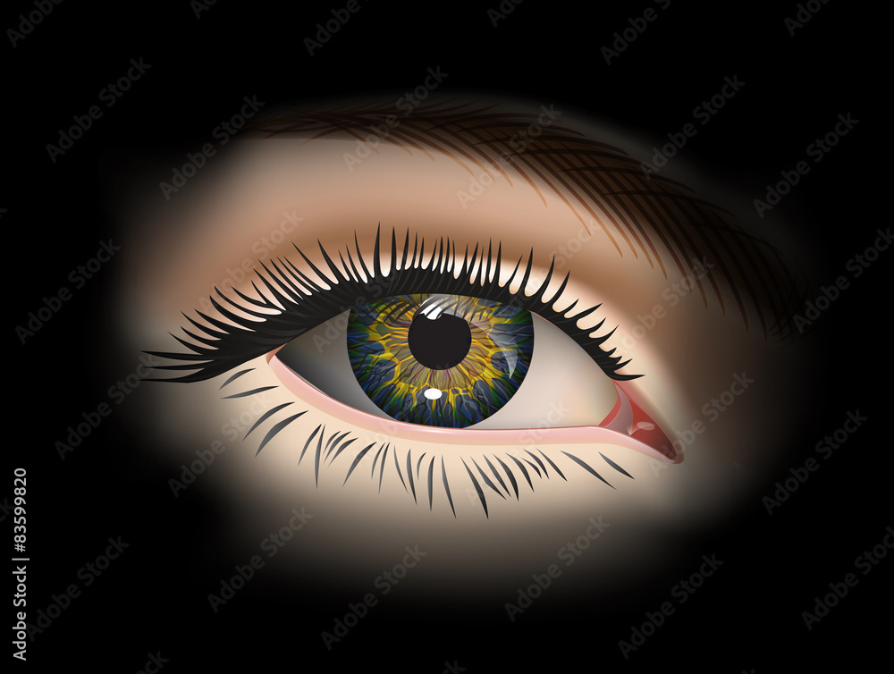 Female eye closeup. Vector