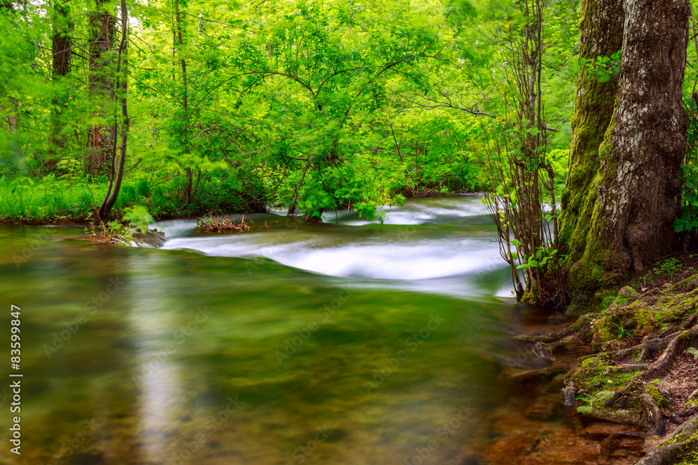 Fototapeta premium Spring forest creek in Plitvice National park