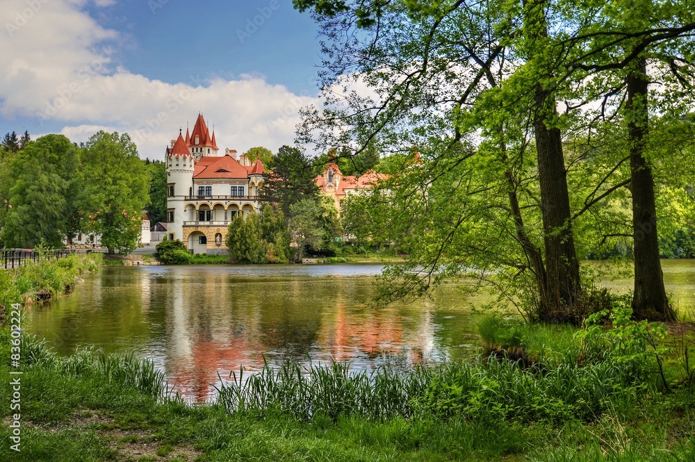 Fototapeta premium castle on the lake