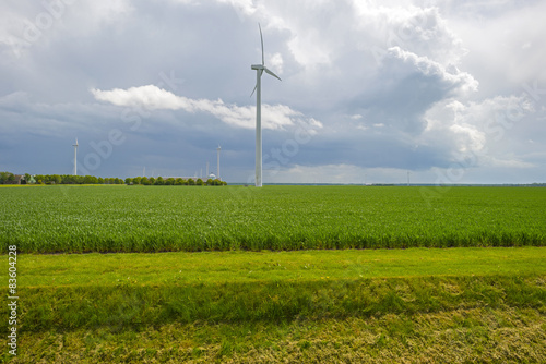 Wind farm and vegetables on a field in spring