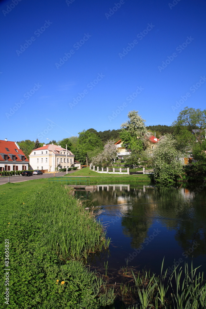 Home to the pond