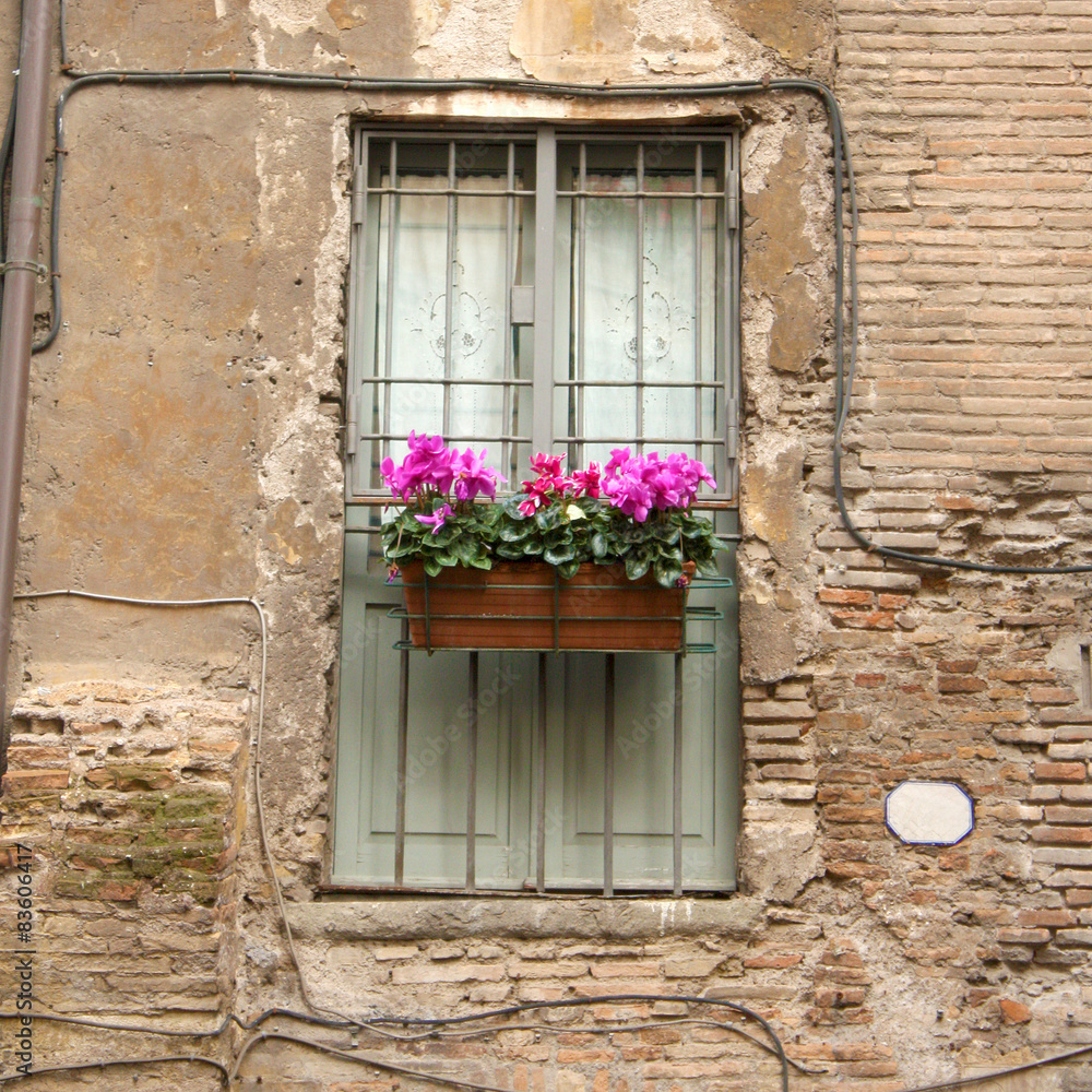 Flowered Old Window Flowered Old Window