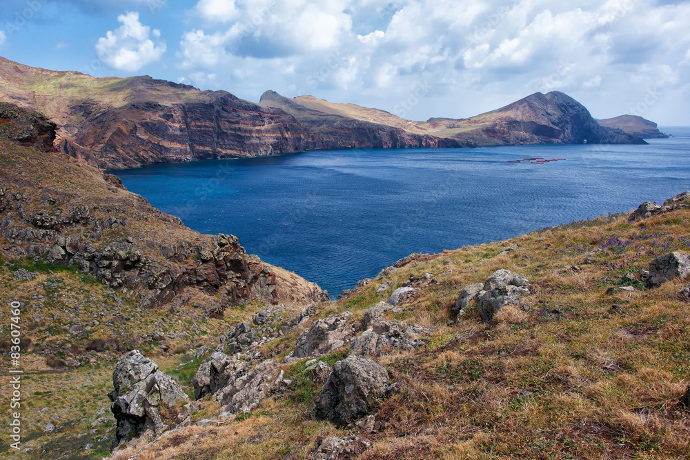 Fototapeta premium Madeira
