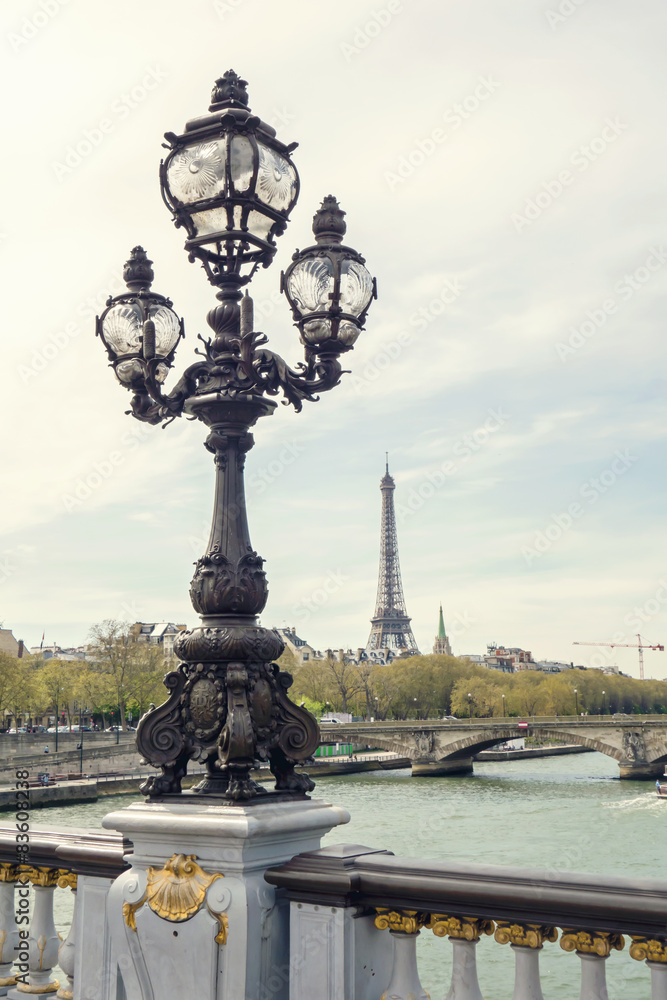 Bridge of Alexandre III and Eiffel Tower in Paris, France.