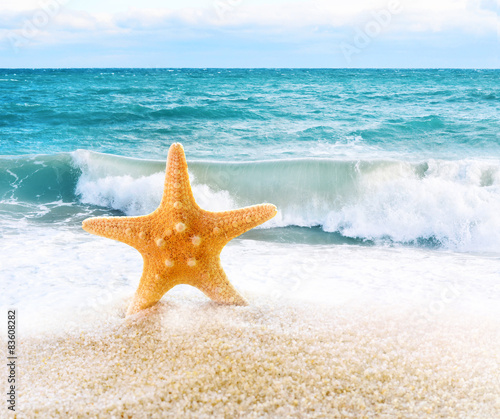 Fototapeta Naklejka Na Ścianę i Meble -  Starfish on the beach