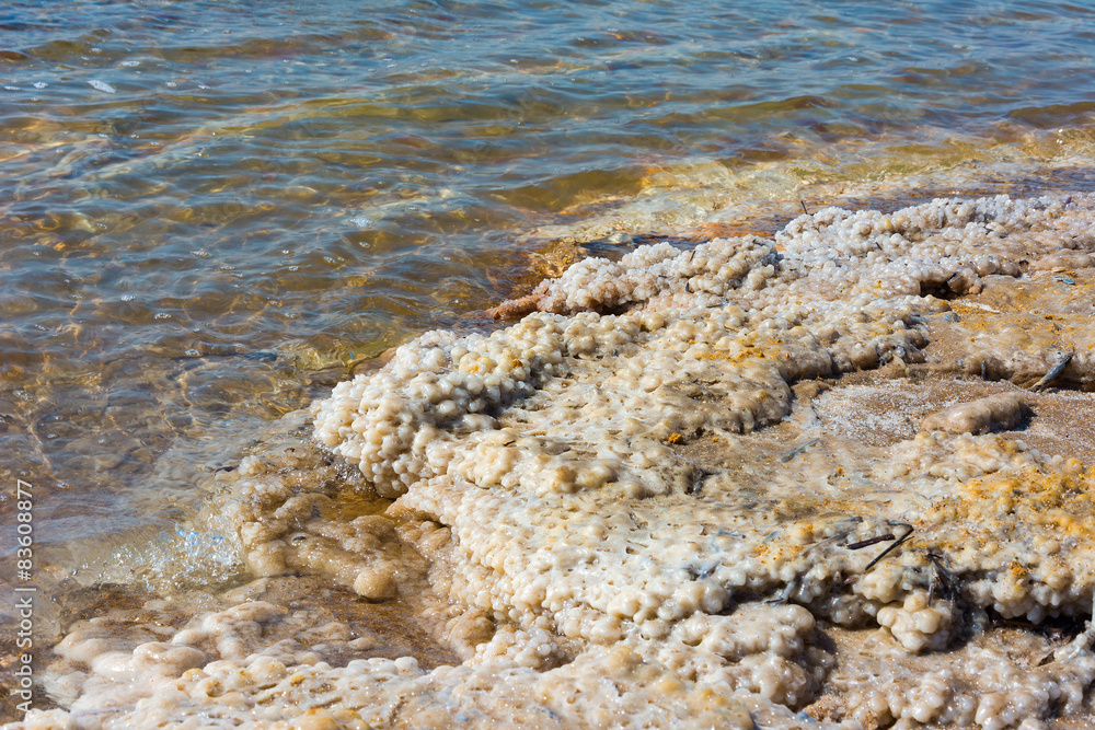 Detail of the beach of the Dead Sea Jordan