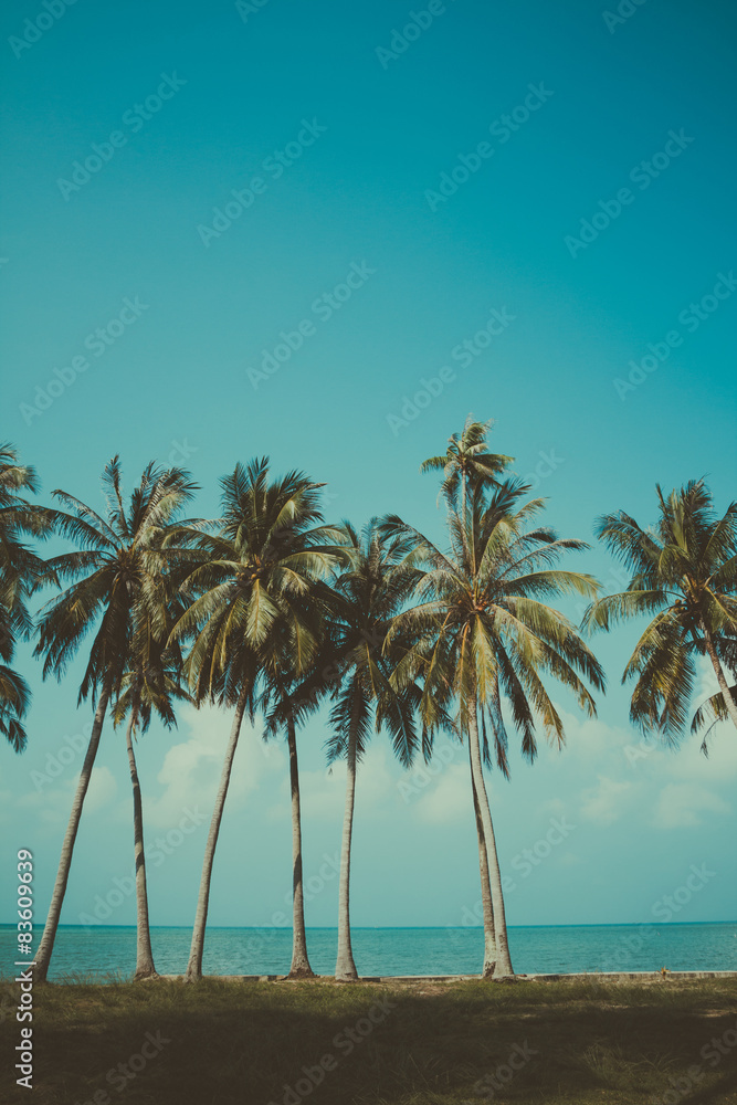 Vintage stylized palm trees on summer tropical shore