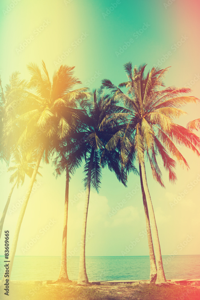 Palm trees on the beach with old film light leaks, vintage color stylized
