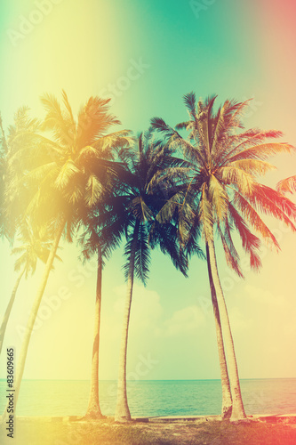 Palm trees on the beach with old film light leaks, vintage color stylized