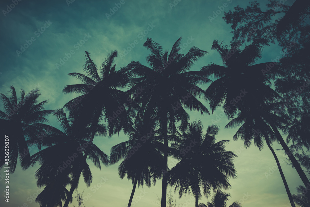 Fototapeta premium Retro stylized palm tress over dark sky