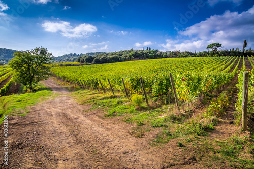 Vineyards and the monastery...