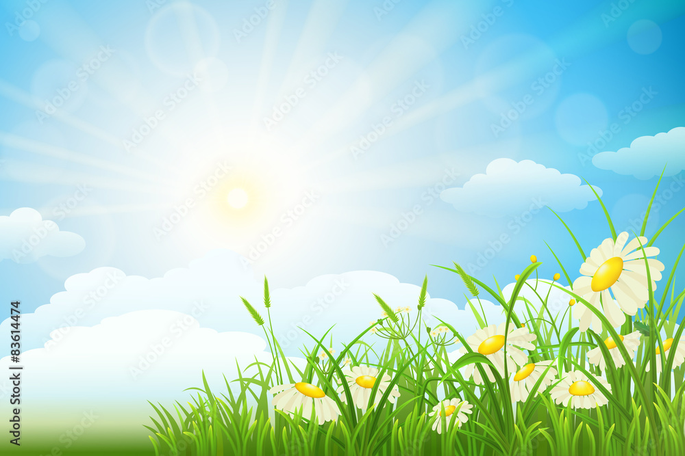 Summer meadow landscape with green grass, flowers, sky and sun