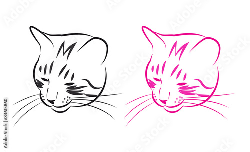 sly cat