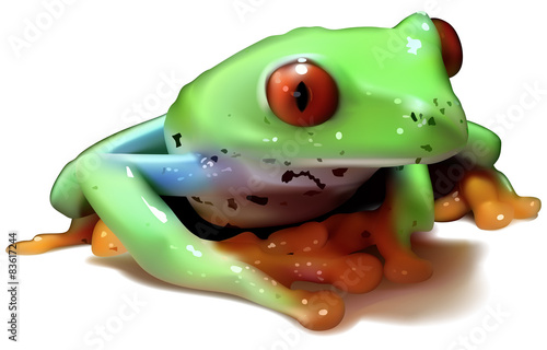 Red-eyed Tree Frog - Colored Illustration  Vector