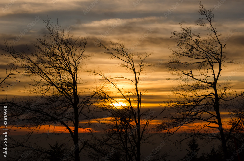 Naklejka premium Abendstimmung im Herbst