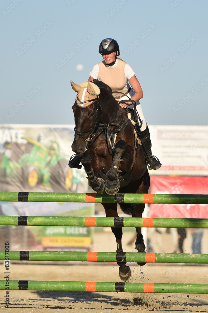 Obraz premium equitation