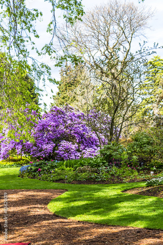 Beautiful, botanic garden in Spring. © JulietPhotography