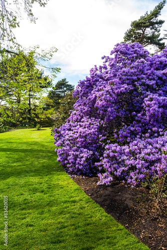 Fototapeta Naklejka Na Ścianę i Meble -  Beautiful, botanic garden in Spring. 