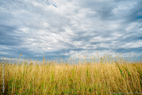 Fields facing a brewing storm