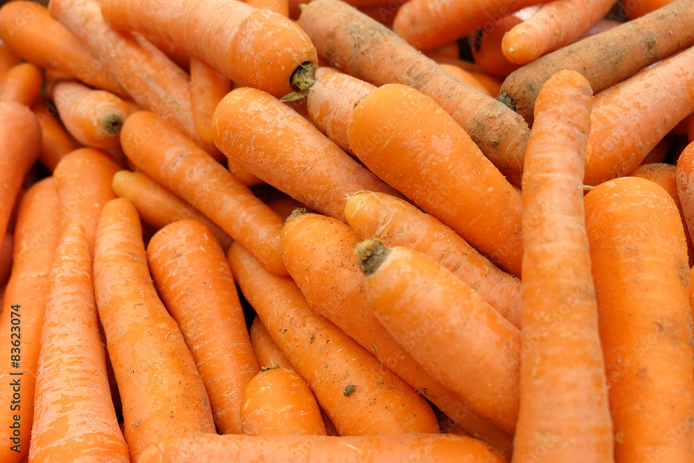 fresh carrot for sell in the market fresh carrot for sell in the market