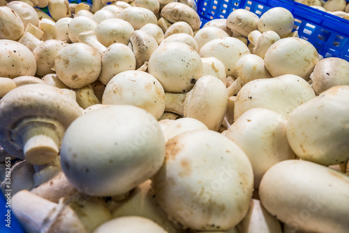 Fresh whole white button mushrooms, or agaricus