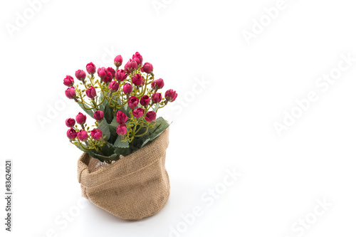 Wallpaper Mural Bouquet flower Torontodigital.ca