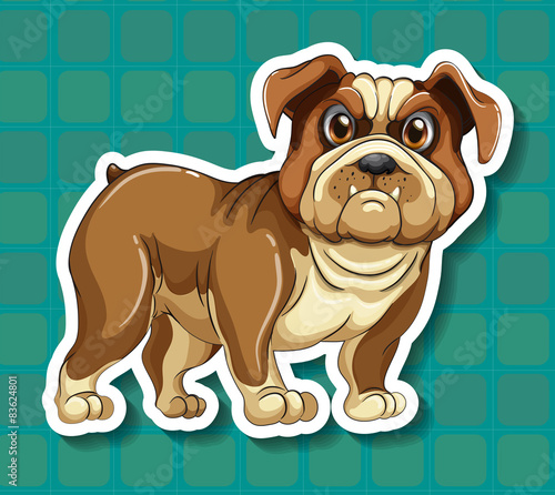 Bulldog