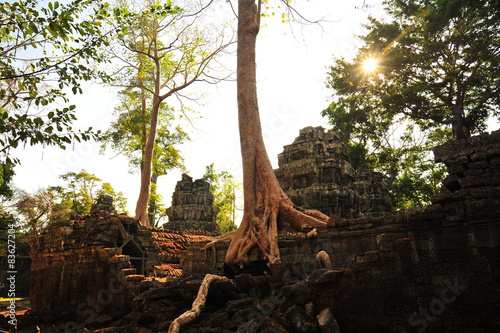 Angkor Ta Prohm Temple of Cambodia © karinkamon