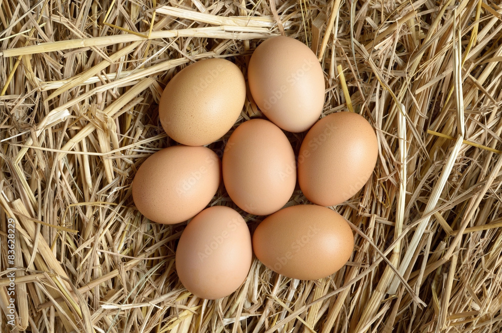 egg egg