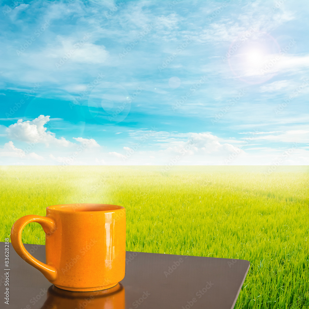 Obraz premium rice field and blue sky