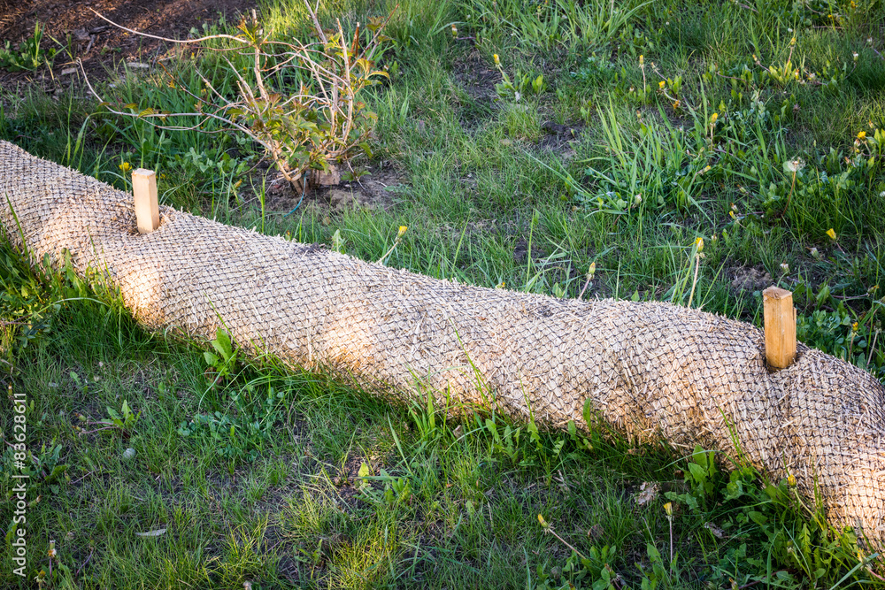 Biodegradable Erosion Control straw sock guard Stock Photo Adobe Stock